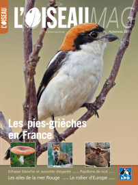 Couverture revue l'OISEAU MAG n°104