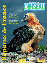 couverture Revue Rapaces de France n°7