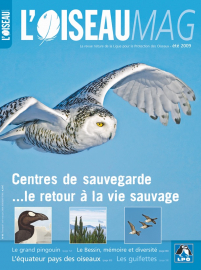 couverture Revue L'OISEAU MAGAZINE n°95