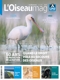 Le magazine L'OISEAU MAG de l'été 2026 fait le point sur les 50 ans de la loi de protection de la nature de 1976