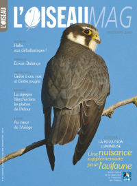 Couverture revue l'OISEAU MAG n°90