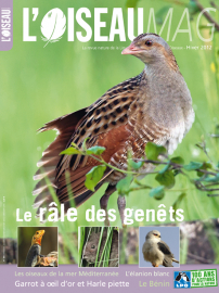 Couverture revue L'OISEAU MAG n°109