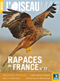 Couverture revue l'OISEAU MAG Hors-série n°17