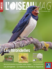 Couverture revue l'OISEAU MAG n°114