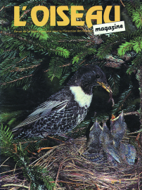 couverture Revue L'OISEAU MAGAZINE n°1