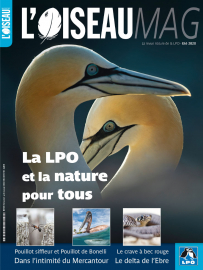 Couverture revue l'OISEAU MAG n°139