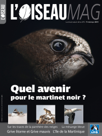 Couverture revue l'OISEAU MAG n°134