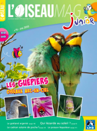 Couverture de l'OISEAU MAG JUNIOR n°11