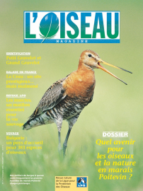 couverture Revue L'OISEAU MAGAZINE n°71