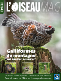 Couverture revue l'OISEAU MAG n°129