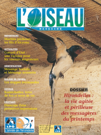 couverture Revue L'OISEAU MAGAZINE n°66