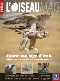 Couverture revue l'OISEAU MAG n°124