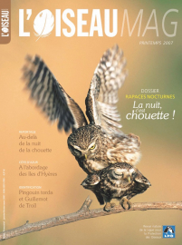 couverture Revue L'OISEAU MAGAZINE n°86