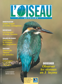 couverture Revue L'OISEAU MAGAZINE n°61