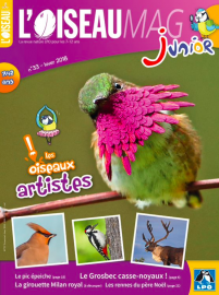 Couverture de l'OISEAU MAG JUNIOR n°33