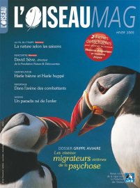 couverture Revue L'OISEAU MAGAZINE n°81