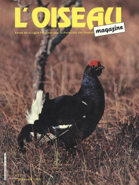 couverture Revue L'OISEAU MAGAZINE n°31