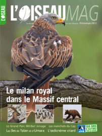 Couverture revue l'OISEAU MAG n°106