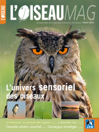 Couverture revue l'OISEAU MAG n°101