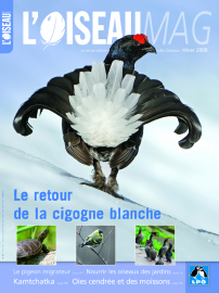 couverture Revue L'OISEAU MAGAZINE n°97