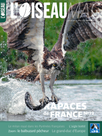 Couverture revue l'OISEAU MAG Hors-série n°19