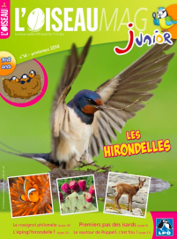 Couverture de l'OISEAU MAG JUNIOR n°14