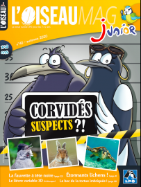 Couverture de l'OISEAU MAG JUNIOR n°40