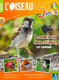 Couverture de l'OISEAU MAG JUNIOR n°30