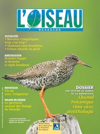 couverture Revue L'OISEAU MAGAZINE n°78