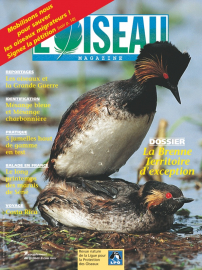 couverture Revue L'OISEAU MAGAZINE n°53