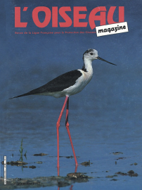couverture Revue L'OISEAU MAGAZINE n°28