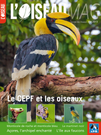 Couverture revue L'OISEAU MAG n°111