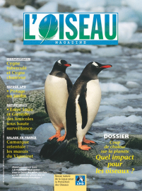 couverture Revue L'OISEAU MAGAZINE n°73