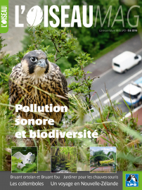 Couverture revue l'OISEAU MAG n°131