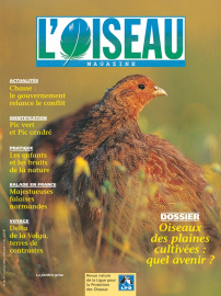 couverture Revue L'OISEAU MAGAZINE n°68