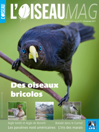 Couverture revue l'OISEAU MAG n°126