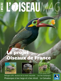 Couverture revue L'OISEAU MAG n°143