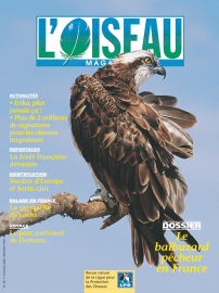 couverture Revue L'OISEAU MAGAZINE n°58