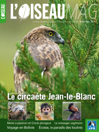 Couverture revue L'OISEAU MAG n°116