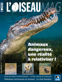 Couverture revue l'OISEAU MAG n°148