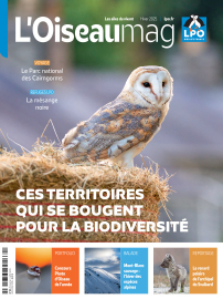 Couverture de L'OISEAU MAG, magazine de la LPO, n°161 sur les territoires qui se bougent pour la diversité