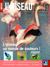 couverture Revue L'OISEAU MAGAZINE n°99