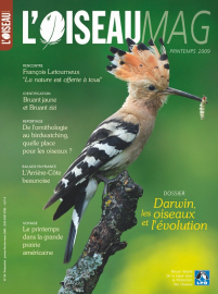 couverture Revue L'OISEAU MAGAZINE n°94