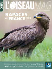 Couverture revue l'OISEAU MAG Hors-série n°21