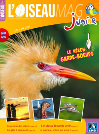 Couverture de l'OISEAU MAG JUNIOR n°15