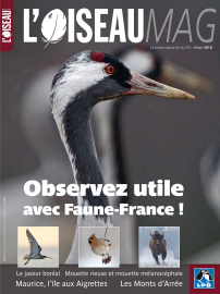 Couverture revue l'OISEAU MAG n°133