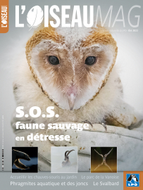 Couverture revue l'OISEAU MAG n°147