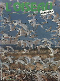 couverture Revue L'OISEAU MAGAZINE n°20