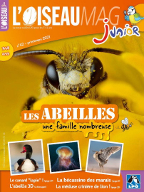 Couverture de l'OISEAU MAG JUNIOR n°42