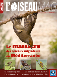 Couverture revue L'OISEAU MAG n°128